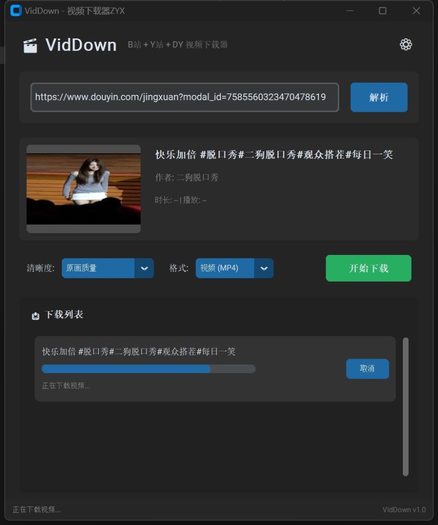VidDown视频下载器v1.0无水印下载B站/钭音/油管等